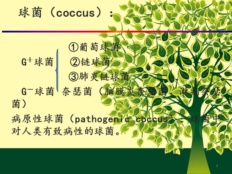 致病性球菌PPT课件_第3页