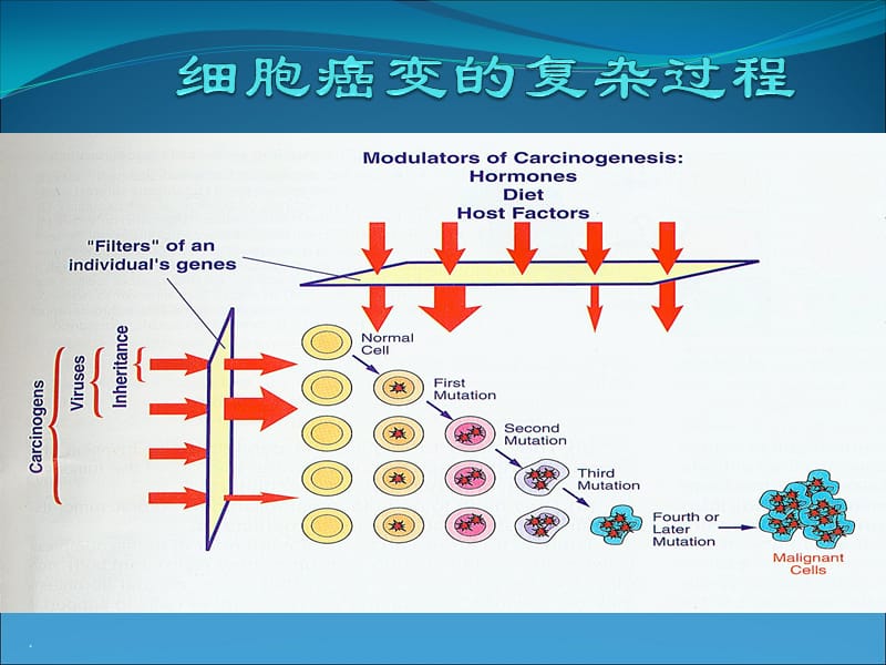 早期胃癌PPT课件_第2页