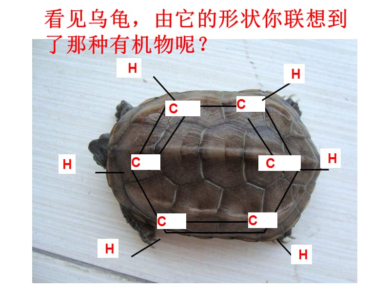 高二化学苯的结构和性质.ppt_第2页