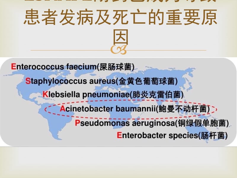 中国鲍曼不动杆菌感染诊治与防控讲稿_第2页