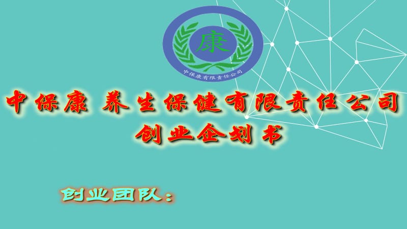 中保康创业计划书_第1页