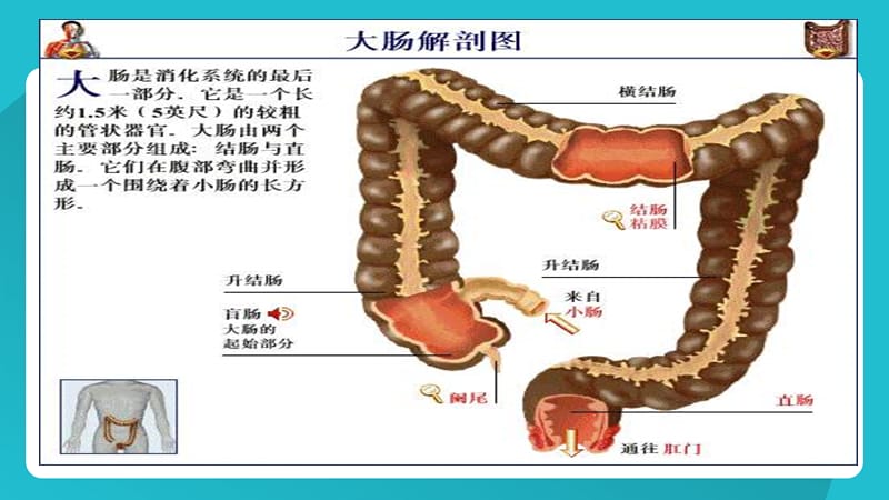 直肠癌术后的护理_第3页