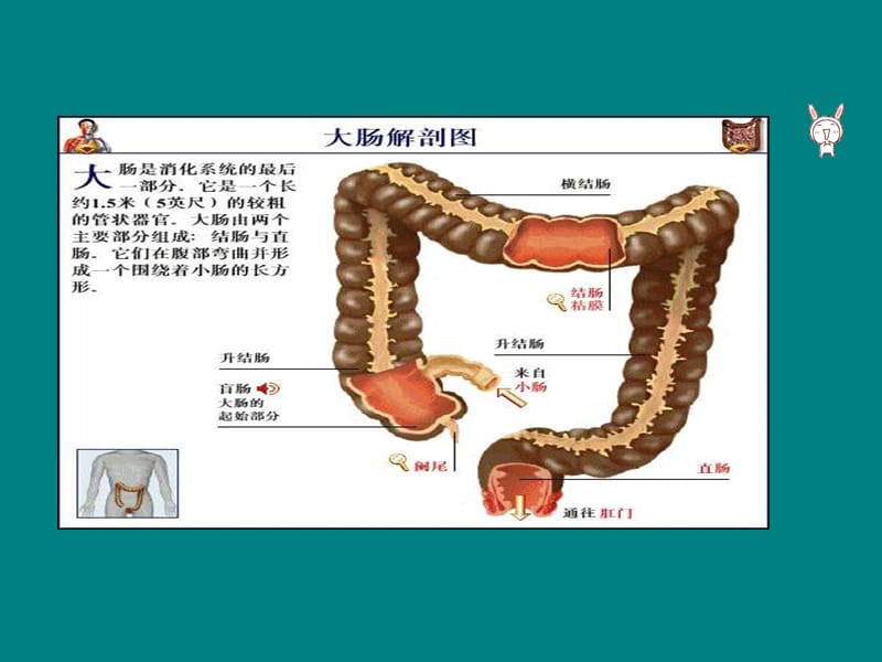 直肠癌伴多发转移的护理查房_第3页