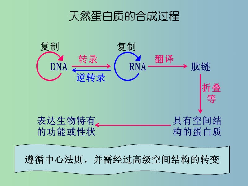 2019版高二生物 1.4蛋白质工程崛起课件.ppt_第2页