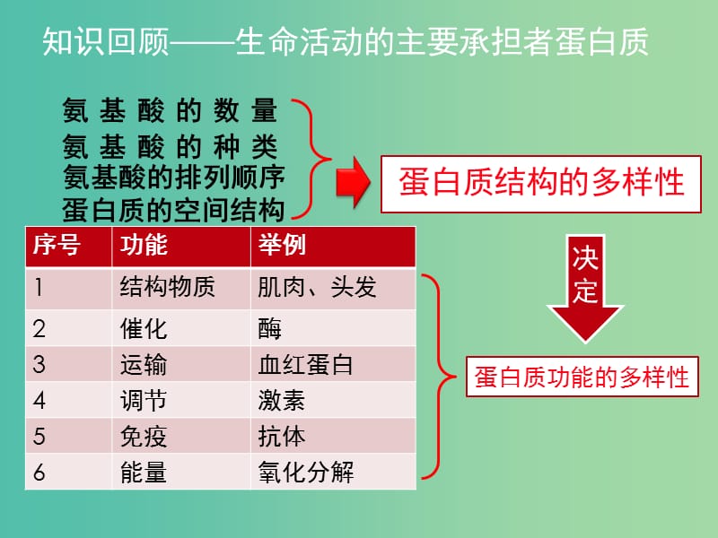 高一生物 2.3遗传信息的携带者-核酸课件.ppt_第2页