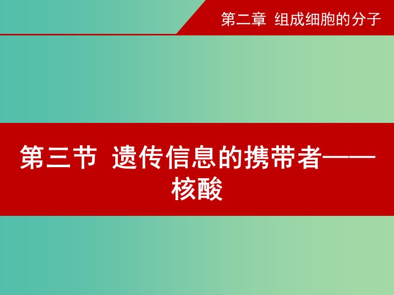 高一生物 2.3遗传信息的携带者-核酸课件.ppt_第3页