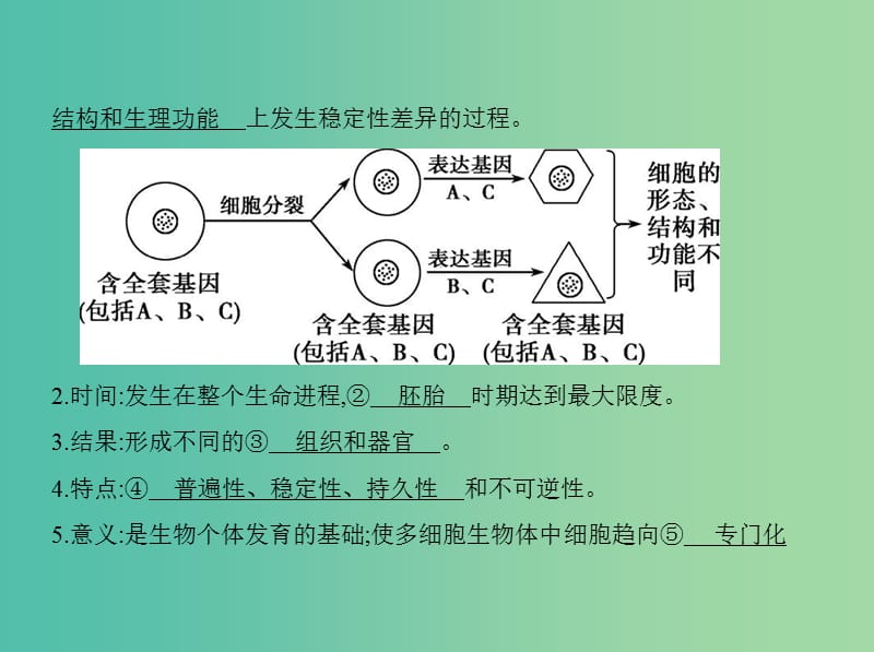 高三生物第一轮复习 第3单元 第10讲 细胞的分化、衰老、凋亡和癌变课件 新人教版.ppt_第3页