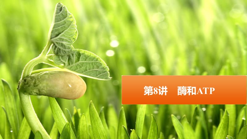 2019版高考生物 酶和ATP课件 新人教版必修1.ppt_第1页