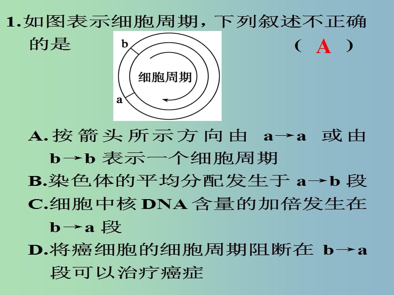 2019版高考生物《11讲 有丝分裂》复习课件.ppt_第2页