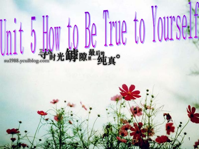 unit 5 How to be true with yourselfppt课件_第1页