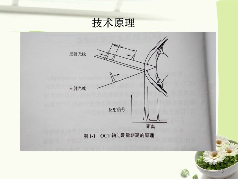 OCT基础知识ppt课件_第3页