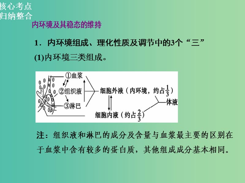 高三生物二轮复习 第一部分 知识落实篇 专题五 生命活动的调节 第2讲 人体的稳态和免疫课件.ppt_第2页