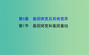 高三生物第一輪復習 第5章 第1節(jié) 基因突變和基因重組課件 新人教版必修2.ppt