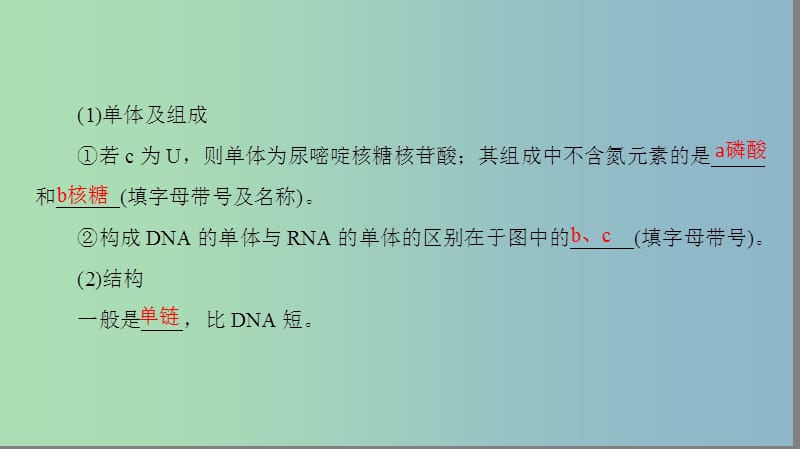 高三生物一轮复习第6单元第3讲基因的表达课件新人教版.ppt_第3页