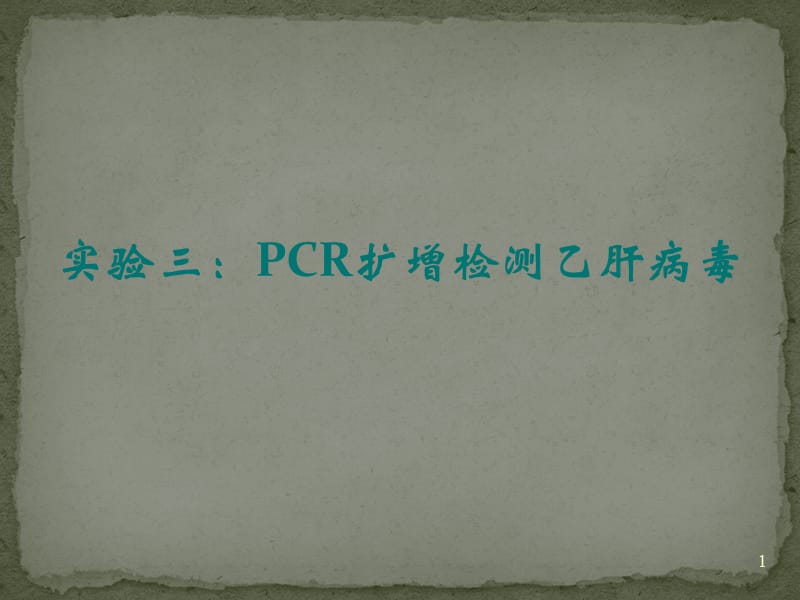 PCR扩增检测乙肝病毒ppt课件_第1页