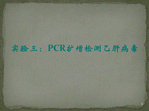 PCR擴(kuò)增檢測乙肝病毒ppt課件