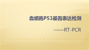 RT-PCR检测血细胞中p53基因的表达ppt课件