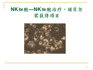 NK细胞疗法ppt课件