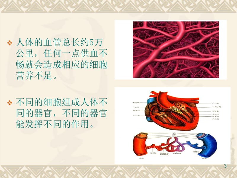 蚕丝竹罐泻血疗法ppt课件_第3页