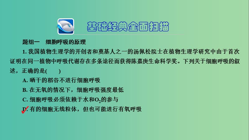 高三生物第一轮总复习 第一编 考点过关练 考点10 细胞呼吸课件.ppt_第3页