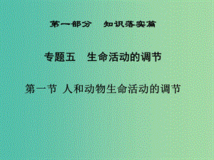 高三生物二輪復習 第一部分 知識落實篇 專題五 生命活動的調(diào)節(jié) 第1節(jié) 人和動物生命活動的調(diào)節(jié)課件.ppt