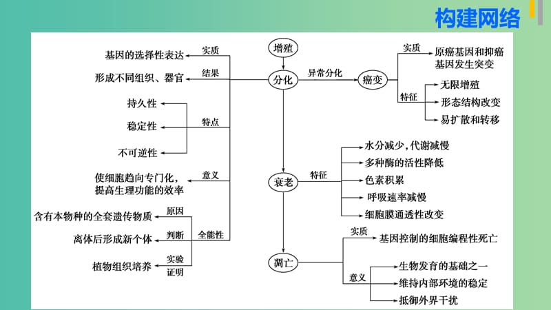 高三生物第二轮复习 专题三 第2讲 细胞的分化、衰老、凋亡和癌变课件 新人教版.ppt_第3页