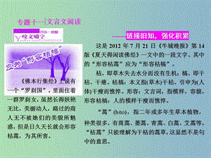 高三語文專題復習 專題十一 補上一課如何讀懂文言文課件.ppt