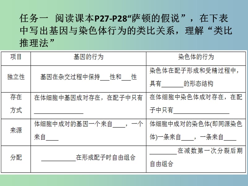 2019版高中生物2.2基因在染色体上课件.ppt_第3页