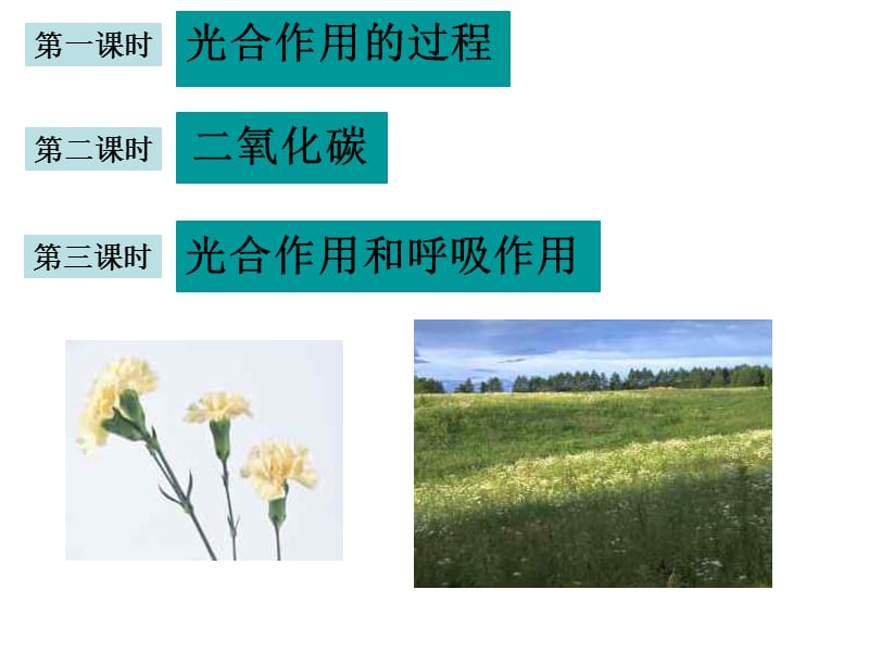 《光合作用浙教版》PPT课件.ppt_第2页