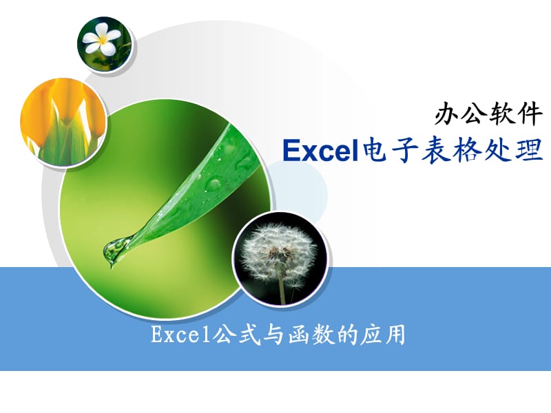 excel-公式与函数的应用.ppt_第1页