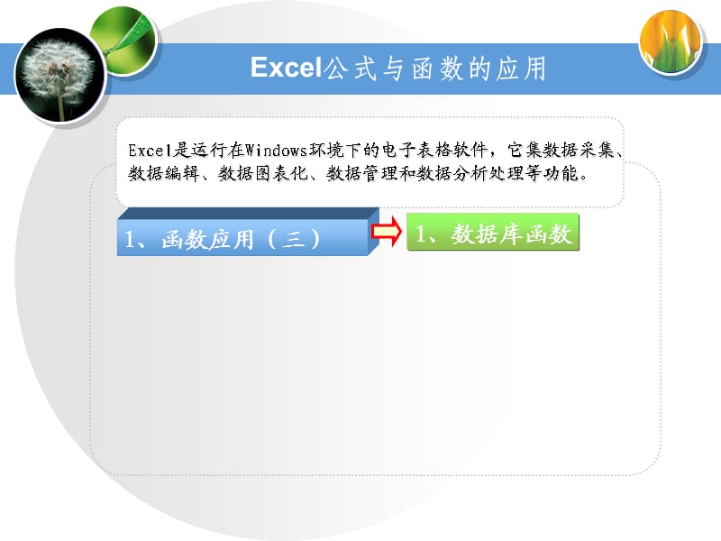 excel-公式与函数的应用.ppt_第2页