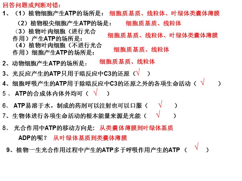 《ATP有关知识总结》PPT课件.ppt_第1页