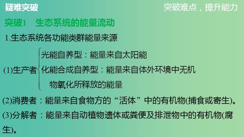 高中生物 第5章 生态系统及其稳定性章末整合提升课件 新人教版必修3.ppt_第3页