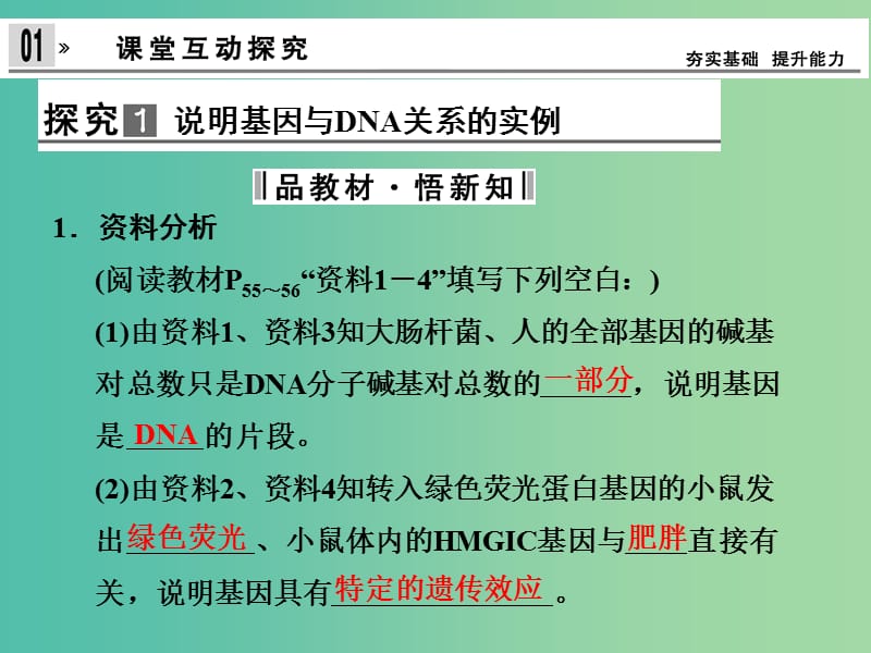 高中生物 3.4基因是有遗传效应的DNA片段课件 新人教版必修2.ppt_第3页