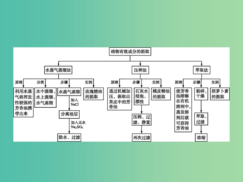 高中生物专题6植物有效成分的提取整合课件新人教版.ppt_第2页