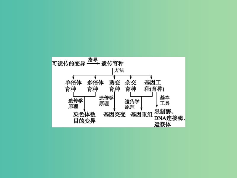 高中生物 第6章 从杂交育种到基因工程本章整合课件 新人教版必修2.ppt_第2页