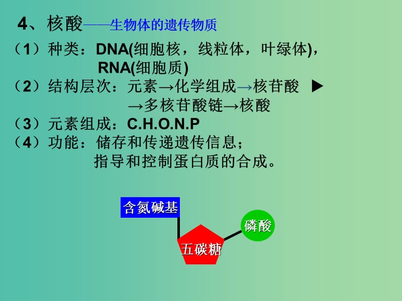 高中生物第一章细胞的分子组成1.3有机化合物与生物大分子课件浙科版.ppt_第3页