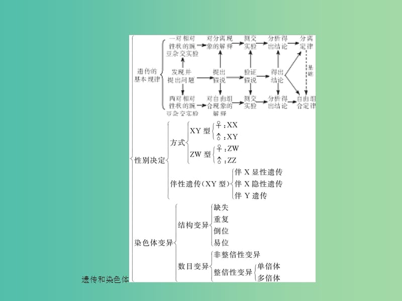 高中生物 第三章 遗传和染色体整合提升课件 苏教版必修2.ppt_第2页