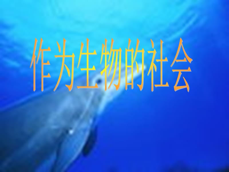 《作為生物的社會(huì)》課件1新人教必修五.ppt_第1頁(yè)