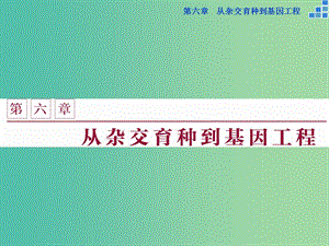 高中生物 第六章 從雜交育種到基因工程 第1節(jié) 雜交育種與誘變育種課件 新人教版必修2.ppt