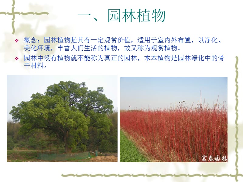 《园林植物学常规》PPT课件.ppt_第2页