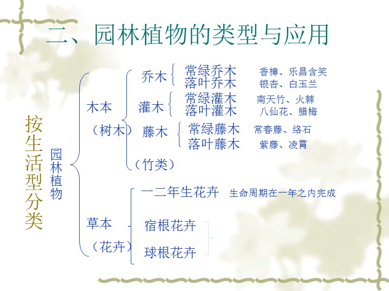 《园林植物学常规》PPT课件.ppt_第3页