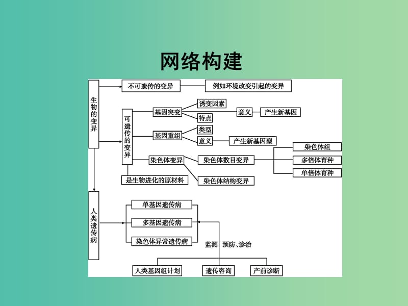 高中生物 第5章 第3节 基因突变及其他变异章末整合课件 新人教版必修2.ppt_第3页