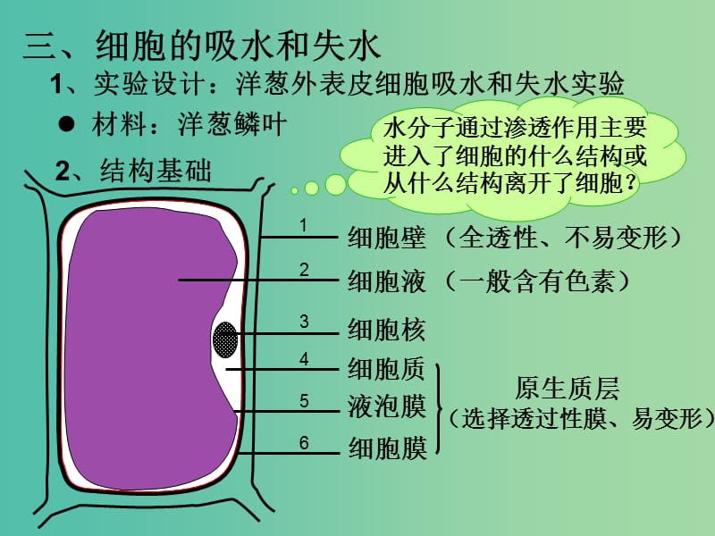 高中生物第一册第3章生命的结构基础3.1细胞膜课件5沪科版.ppt_第3页