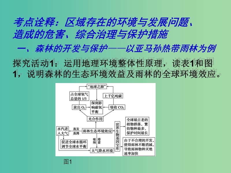 高考地理一轮复习 区域环境问题及其治理 森林的开发与保护 以亚马孙热带雨林为例（第1课时）课件.ppt_第3页