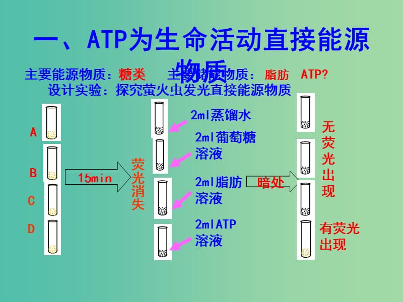 高中生物 专题5.2 细胞的能量“通货”-ATP课件 新人教版必修1.ppt_第2页