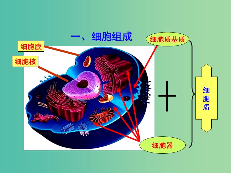 高中生物 专题3.2 细胞器-系统内的分工合作课件 新人教版必修1.ppt_第2页