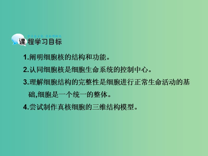 高中生物 第3章 第3节 细胞核-系统的控制中心课件 新人教版必修1.ppt_第2页