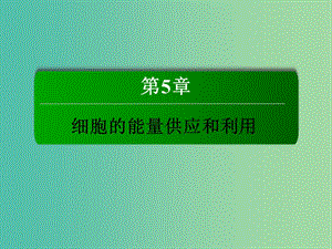 高中生物 第5章 細胞的能量供應和利用 5.3 ATP的主要來源 細胞呼吸課件 新人教版必修1.ppt