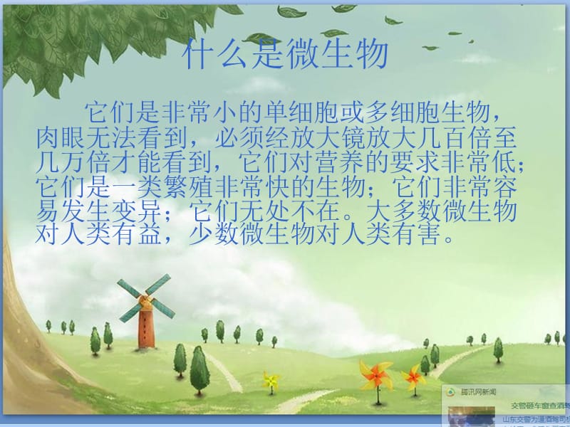 《微生物基础知识》PPT课件.ppt_第3页